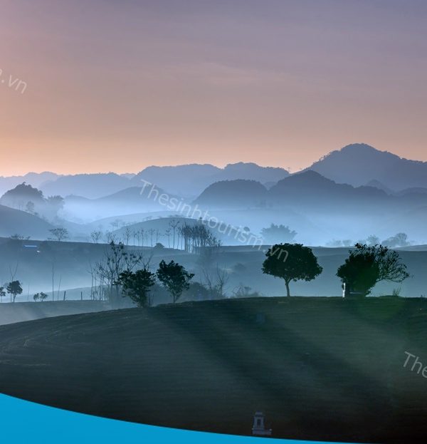 Tour Tây Bắc Mù Cang Chải Sapa - Lai Châu - Điện Biên - Mộc Châu - Mai Châu 5 ngày 4 đêm - Thế Sinh Tourism