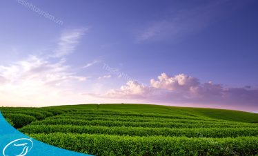 Đi Mộc Châu du lịch cùng Thế Sinh Tourism