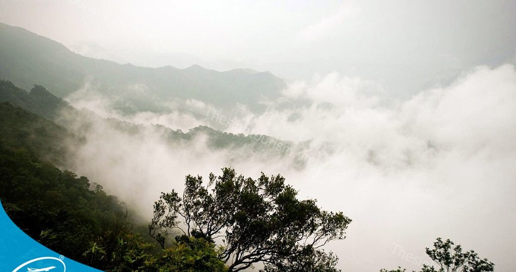 Du lịch Hạ Long Yên Tử - Hành trình trải nghiệm đầy thú vị cùng Thế Sinh 1 Tour Yên Tử 1 Ngày - Đặt tour cùng Thế Sinh