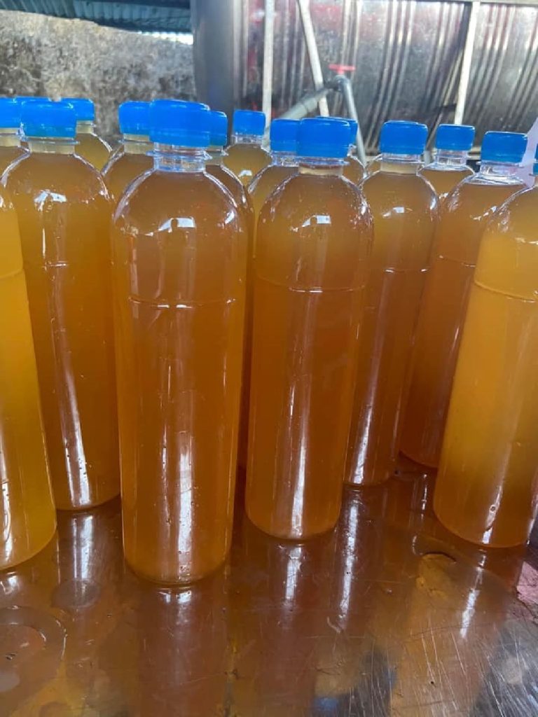 Điểm danh 10 món đặc sản Hạ Long Quảng Ninh không thể bỏ qua khi đi du lịch 12 Đặc sản Hạ Long - Nguồn ảnh: Sưu tầm Facebook