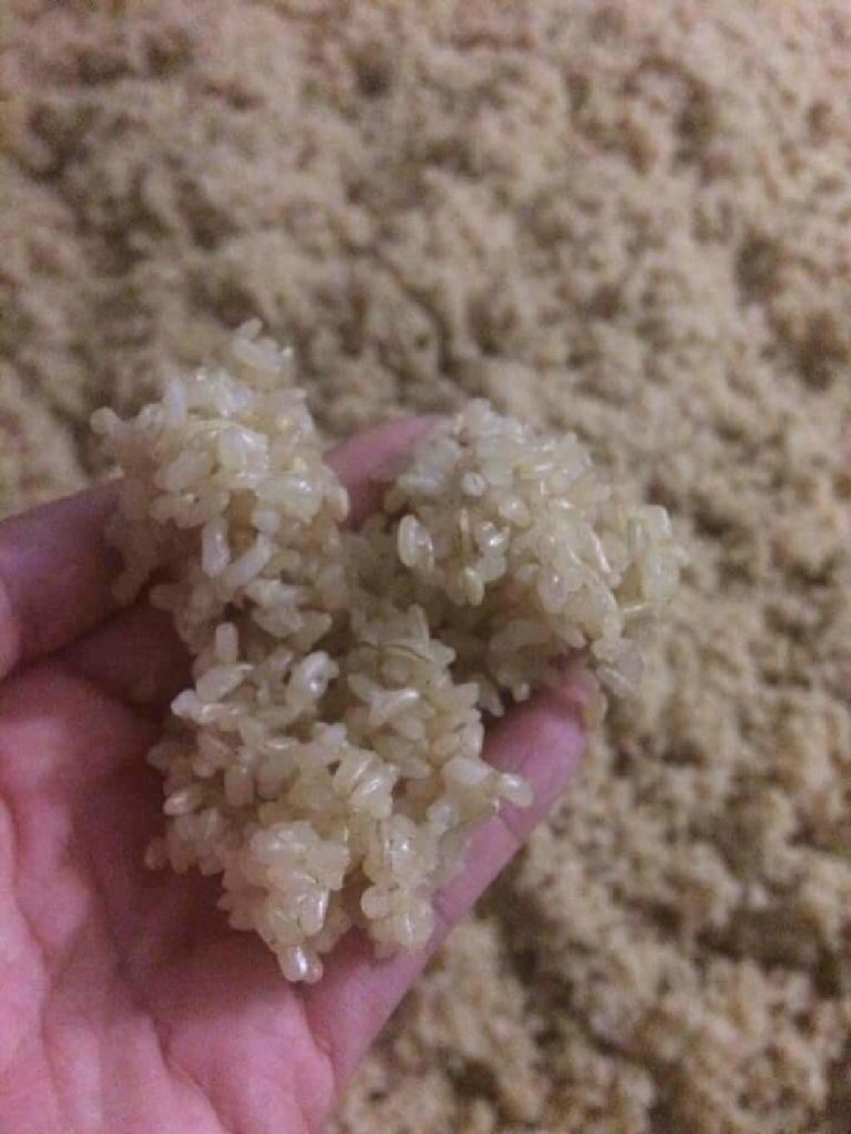 Điểm danh 10 món đặc sản Hạ Long Quảng Ninh không thể bỏ qua khi đi du lịch 11 Đặc sản Hạ Long - Nguồn ảnh: Sưu tầm Facebook