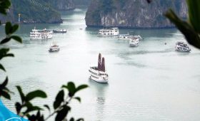 Thế Sinh Tourism - Đơn vị tổ chức tour du lịch Hạ Long uy tín , chuyên nghiệp nhất