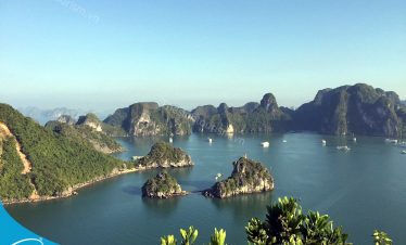 Thế Sinh Tourism - Đơn vị tổ chức tour du lịch Hạ Long uy tín , chuyên nghiệp