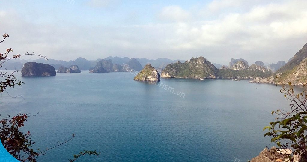 Đảo Titop - Góc nhìn toàn cảnh Vịnh Hạ Long 1 Thế Sinh Tourism - Kinh nghiệm đi du lịch Hạ Long - Tổ chức tour Hạ Long uy tín
