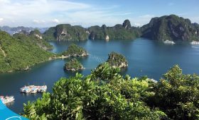 Tour du lịch Vịnh Hạ Long - Thế Sinh Tourism