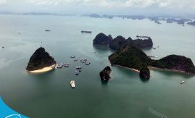 Thế Sinh Tourism - Đơn vị tổ chức tour du lịch Ninh Bình Hạ Long chuyên nghiệp