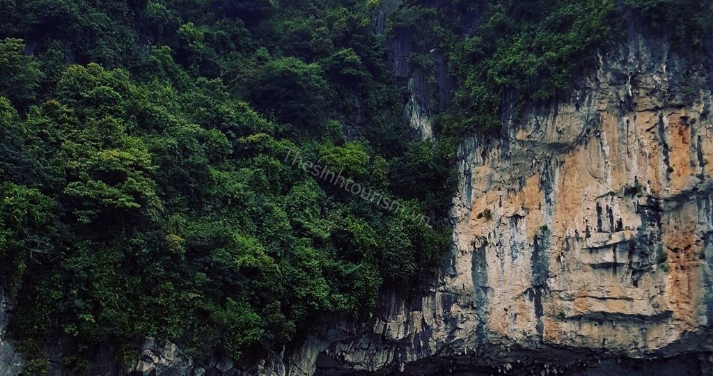 Hang Luồn Hạ Long - Không gian nguyên sơ giữa lòng di sản 1 Du lịch Hà Nội Ninh Bình Hạ Long - Thế Sinh Tourism