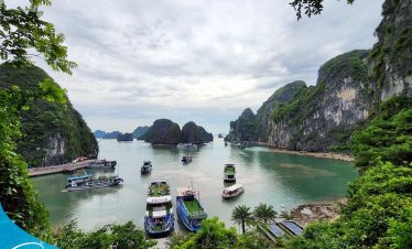 Thế Sinh Tourism - Hướng dẫn chọn tour Hạ Long phù hợp