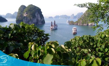 Đặt tour du lịch Hạ Long giá rẻ uy tín