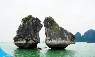 Đi du lịch Vịnh Hạ Long - Thế Sinh Tourism