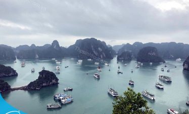 Tham quan Hạ Long cùng Thế Sinh Tourism