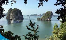 Sinh Cafe - Tour du lịch Hạ Long Ninh Bình SaPa Hà Giang uy tín