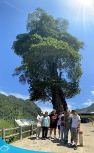 du lich mien bac du lich the sinh tourism the sinh tourist sinh cafe du lich ha giang mu cang chai sapa 010 20230817