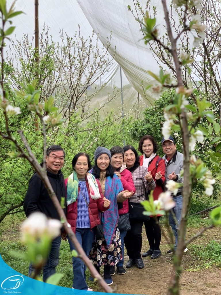 Thế Sinh Tourism - Chuyên cung cấp tour du lịch chất lượng, đa dạng và đầy ấn tượng 8 du lich the sinh tourist the sinh tourism sinh cafe 040 20230812