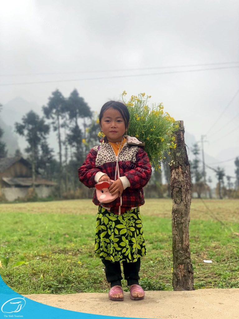 Thế Sinh Tourist - Đơn vị đặt tour du lịch tin cậy cho kỳ nghỉ của bạn 5 du lich the sinh tourist the sinh tourism sinh cafe 136 20230812