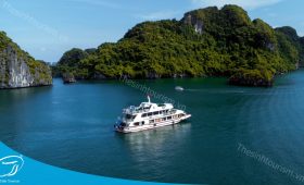 Du Thuyền Hạ Long 5 Sao Otis Cruise - Thế Sinh Tourism - Thế Sinh Tourist - Sinh Cafe Travel - 50 Đường Thành, Hoàn Kiếm, Hà Nội
