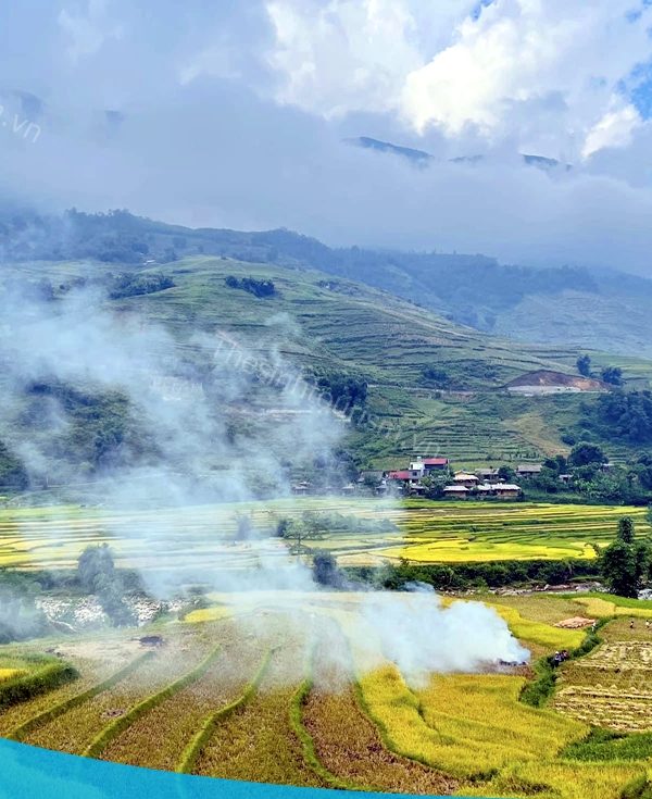 Thế Sinh Tourism - Du lịch Mù Cang Chải - Đặt tour đi Mù Cang Chải