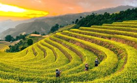 Ảnh sưu tầm - Du lịch Mù Cang Chải - Kinh nghiệm du lịch Mù Cang Chải - Đi Mù Cang Chải tháng mấy đẹp nhất ?