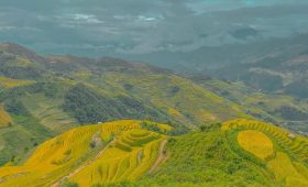 Tour du lịch Mù Cang Chải cùng Thế Sinh - Mù Cang Chải mùa lúa chín