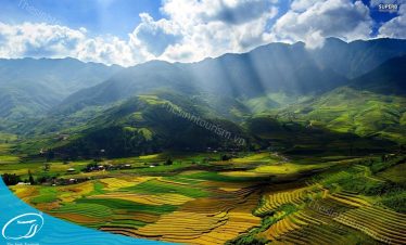 Du lịch Mù Cang Chải - Sinh Cafe - Tour Mù Cang Chải Thanh Sơn 2 ngày 1 đêm