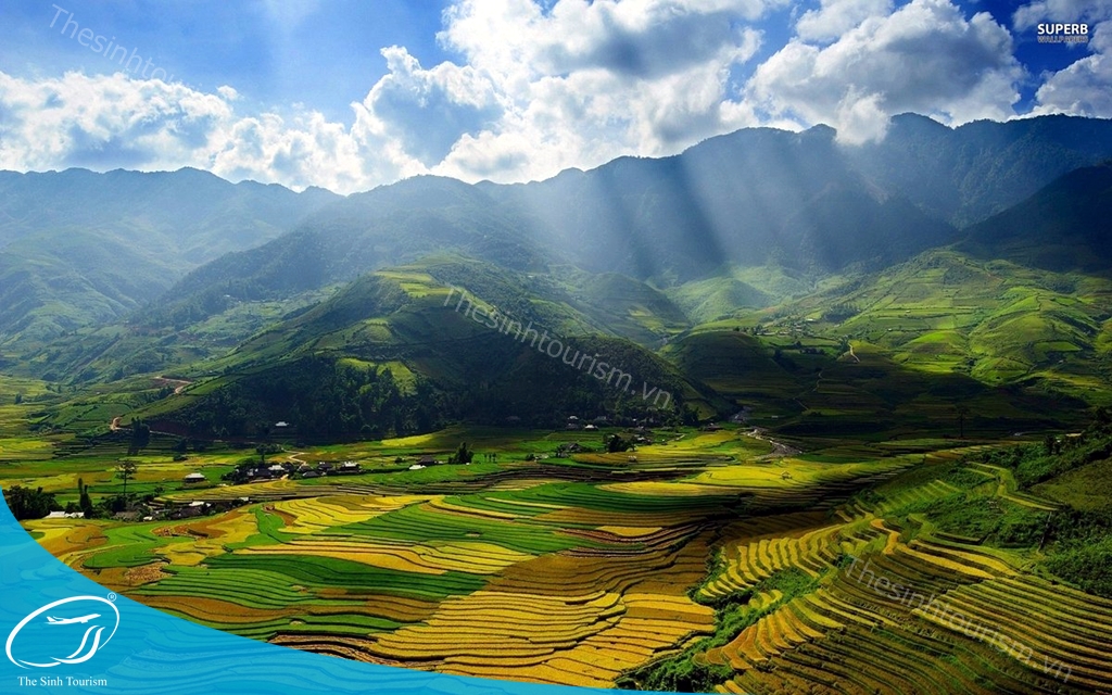 Du lịch Mù Cang Chải - Sinh Cafe - Tour Mù Cang Chải Thanh Sơn 2 ngày 1 đêm