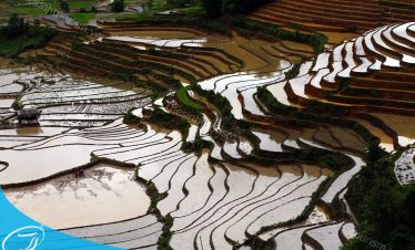 Sinh Cafe Travel - Du lịch Mù Cang Chải - Kinh nghiệm du lịch Mù Cang Chải