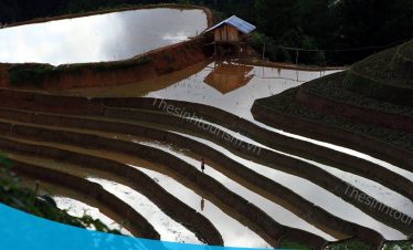 Ảnh sưu tầm - Đi du lịch Mù Cang Chải