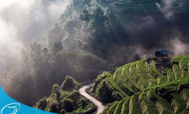 Ảnh sưu tầm - Du lịch Mù Cang Chải - Đi Mù Cang Chải