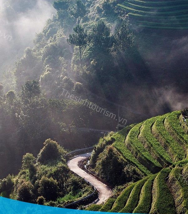 Ảnh sưu tầm - Du lịch Mù Cang Chải - Đi Mù Cang Chải