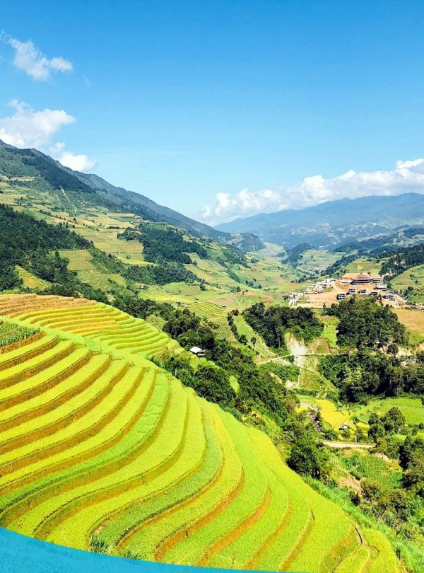 Tour du lịch Mù Cang Chải cùng Thế Sinh Tourist - Đi Mù Cang Chải tháng mấy đẹp ?