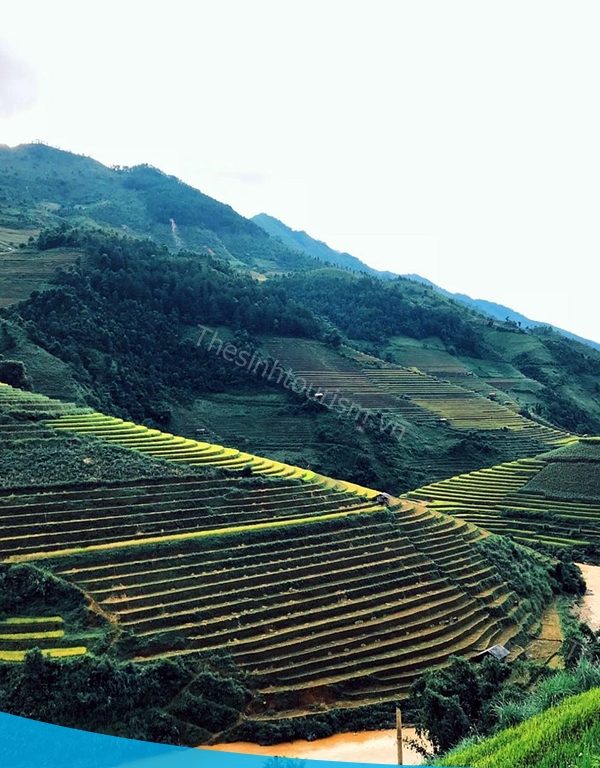 Đặt tour đi Mù Cang Chải cùng Thế Sinh Tourist