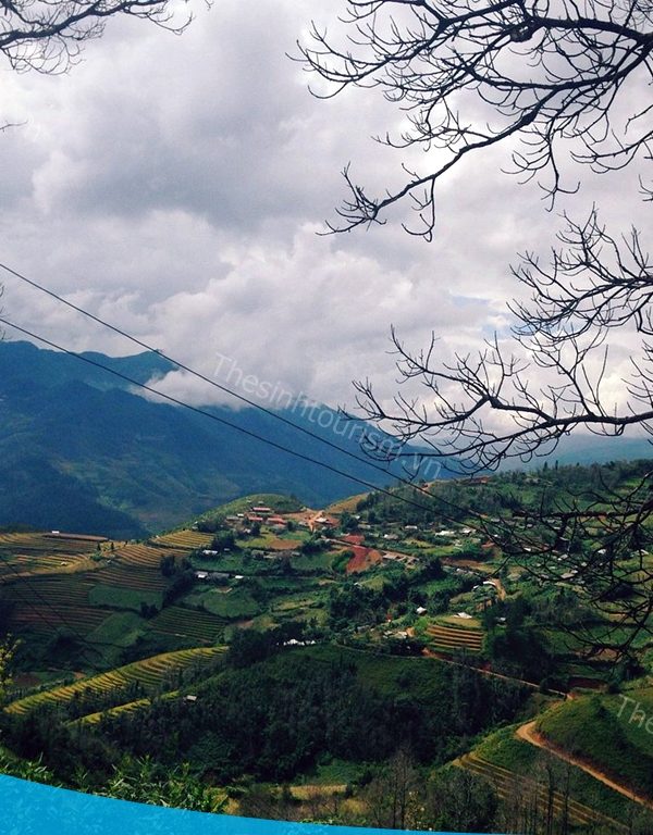 Đặt tour đi Mù Cang Chải cùng Thế Sinh Tourist