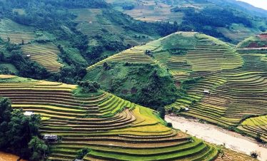 Thế Sinh Tourism - Tour đi du lịch Mù Càng Chải giá rẻ