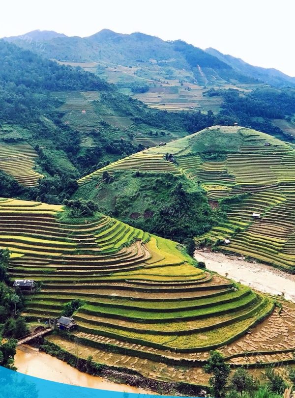 Thế Sinh Tourism - Tour đi du lịch Mù Càng Chải giá rẻ