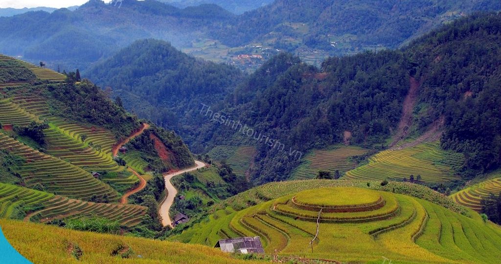 Đi Mù Cang Chải - Vùng Đất Thần Thoại Của Ruộng Bậc Thang Mùa Lúa Chín 9 Thế Sinh Tourism - Du lịch Mù Cang Chải - Địa điểm đẹp ở Mù Cang Chải - Mùa lúa chín Mù Cang Chải