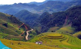 Thế Sinh Tourism - Du lịch Mù Cang Chải - Địa điểm đẹp ở Mù Cang Chải - Mùa lúa chín Mù Cang Chải