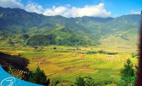 Thế Sinh Tourism - Đơn vị tổ chức tour đi du lịch Mù Cang Chải uy tín