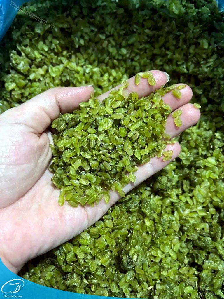 tour du lich mu cang chai the sinh tourist the sinh tourism sinh cafe 048 20230812