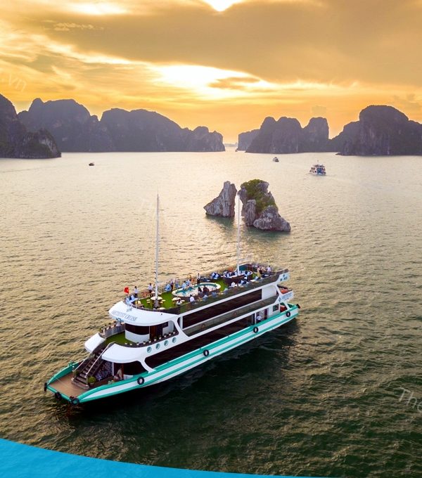 Chi phí tour Hạ Long 3 ngày - Đặt tour Hạ Long 3 ngày cùng Thế Sinh Tourism