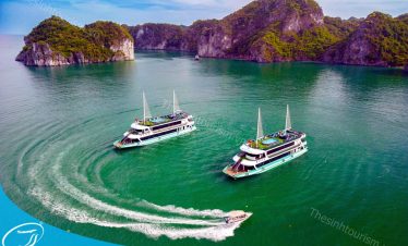 Tour Hạ Long 1 ngày du thuyền 5 sao cao cấp thăm vịnh 8 tiếng