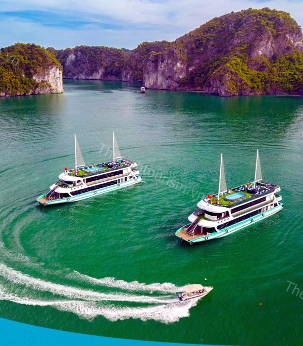 Tour Hạ Long 1 ngày du thuyền 5 sao cao cấp thăm vịnh 8 tiếng