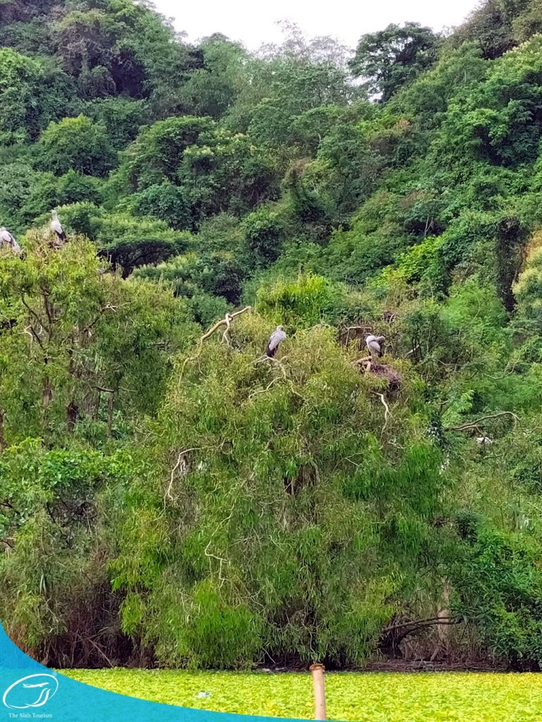 Tham quan Ninh Bình - Điểm danh những điểm đến khó quên 10 du lich thung nham ninh binh tour du lich ninh binh the sinh tourist the sinh tourism sinh cafe travel 003 20230912