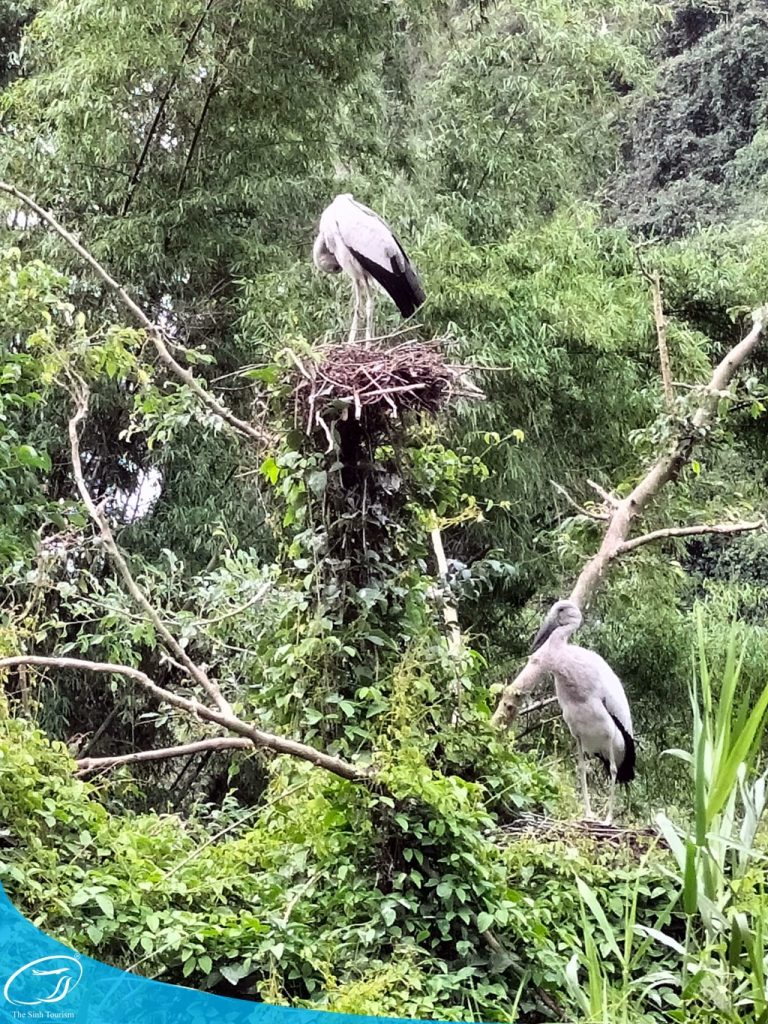 Tham quan Ninh Bình - Điểm danh những điểm đến khó quên 9 du lich thung nham ninh binh tour du lich ninh binh the sinh tourist the sinh tourism sinh cafe travel 004 20230912