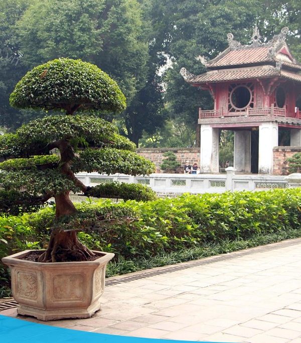 City Tour Hà Nội 1 Ngày cùng Thế Sinh Tourism - Văn Miếu Quốc Tử Giám