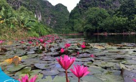 tour du lich ninh binh the sinh tourist the sinh tourism sinh cafe travel 001 20230912