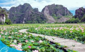 Du lịch Thế Sinh - Du lịch Ninh Bình - Khám Phá Ninh Bình