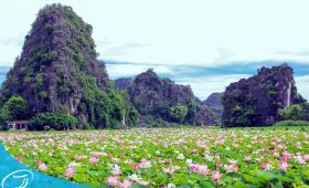 Đi du lịch Ninh Bình - Thế Sinh Tourism - Du lịch Hang Múa Tràng An