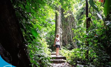 Rừng Cúc Phương