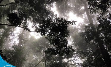 Đặt tour VQG Cúc Phương tại Thế Sinh Tourism