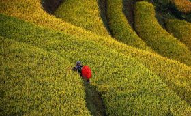 Khám phá Mù Cang Chải cùng Thế Sinh - Làng bản tại Mù Cang Chải